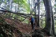 17 Salendo verso il Passo del Gandazzo in faggeta
